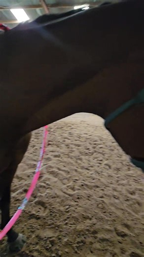 Bentley!!!! | Spirit Riding