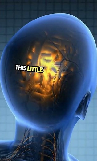 Pituitary Gland Basics | #scienceeasytech #bscnursing #biology