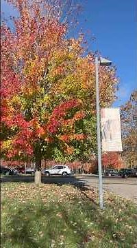 The BEST museum in the Berkshires - The Clark