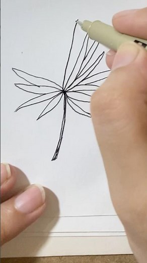 How to draw tropical leaf drawing for beginners