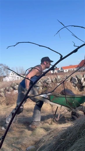 How to Move Heavy Rocks WITHOUT Wrecking Your Back! 🪨💪