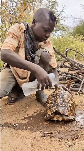 Dudukwe Carefully Cleans the Giant Tortoise 🐢💦 | African Village Life