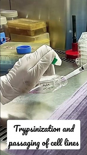 Trypsinization and passaging of cell lines #biotech #biotechnology #lab #molecular #science #cancer