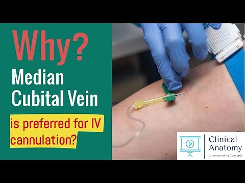 Why Median Cubital Vein Preferred for IV Cannulation? | Concepts in Clinical Anatomy | CCA
