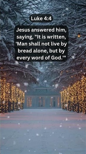 Journey of faith and spiritual growth | Luke 4:4 Daily Bible Verse