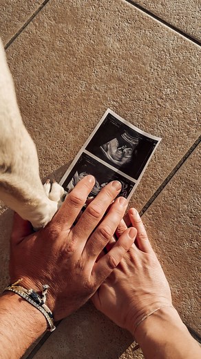 Déborah Hbr | Notre plus gros projet de 2025, finalement c’est celui là 👶🏼♥️ Voilà ce qu’on vous cache depuis 3 mois, Nala va bientôt avoir un petit... | Instagram