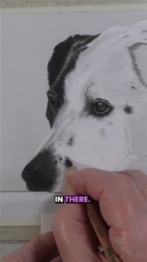 Finger Blending Pastel Pencil Like a Pro