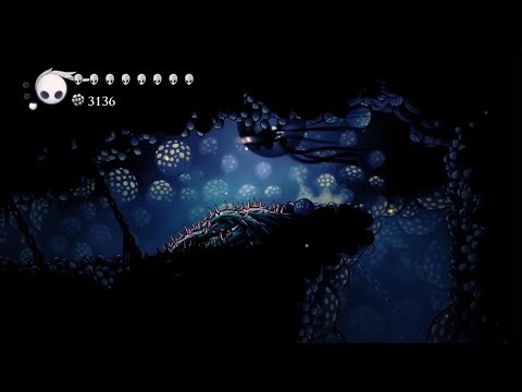 Hollow Knight Delicate Flower Quest