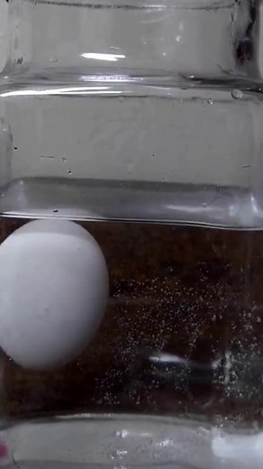 Simple test to determine if raw eggs are still edible