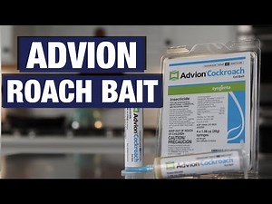 Advion Roach Bait