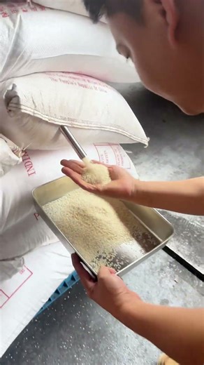 Inside a Rice Warehouse Quality Check Process ✅