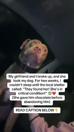 READ CAPTION 👇🏻