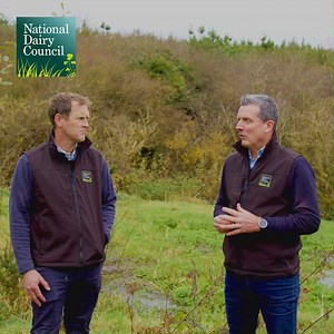 In case you missed it Agriland have teamed up with the National Dairy Council for a Dairy Spotlight series on securing the future of Irish dairy. In the first instalment, Mark Keller discusses the relationship with consumers. Catch the full video in the comments ⬇ | Agriland.ie | Facebook