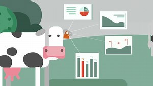 124 reactions · 18 shares | You will not only manage your cows but the total success of your dairy farm! | CowManager | Facebook