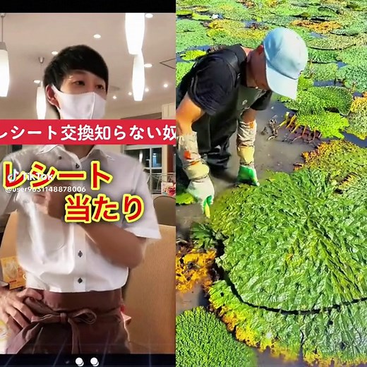 #折りたたみスマホ #PR #SoftBank #ソフトバンク #新機種 #二つ折りスマホ #motorola @ソフトバンク公式