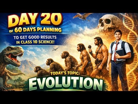 What Is Evolution? The Science Behind Life’s Changes