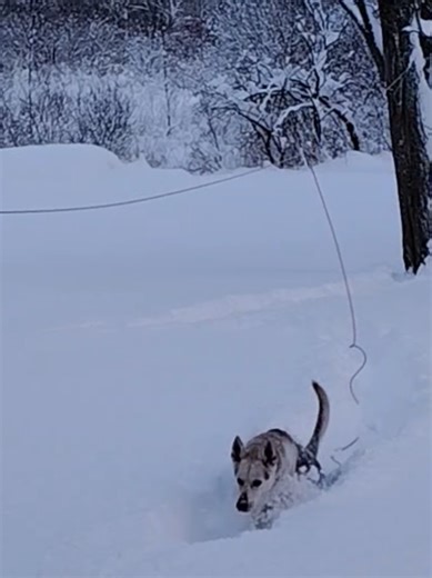 Experiencing Lake Effect Snow in the North Country