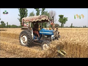 Ford 3610 | Wheat Reaper Harvester | PTO Performance of Ford Tractor