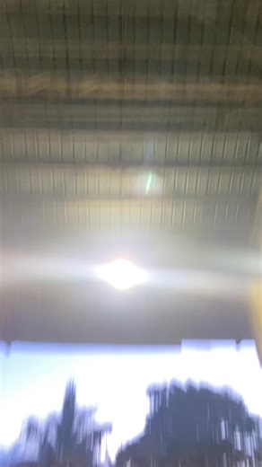 89K views · 588 reactions | Diff Fam Dance Workshop - Dancehall Class by James Aguanta.  BIG UP TO ALL CREATORS  #fypシ゚viralシ #difffamworkshop #trendingpost #difffam | Diff Fam | Facebook