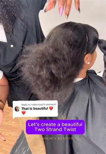 Create Stunning Two Strand Twists: A Hair Tutorial