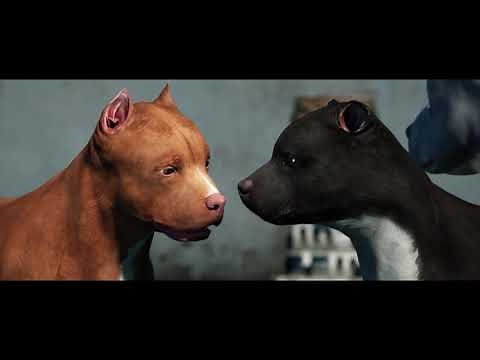 Chance - Trailer