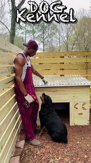 DIY Dog Kennel Build Guide