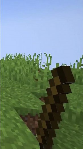 I Found Minecraft's WORST Texture Pack