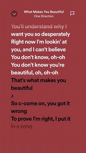 What Makes You Beautiful - One Direction (Lyrics)