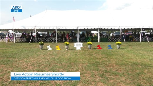 25K views · 192 reactions | Enjoy a preview of Groups and Best in...