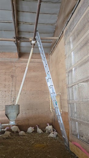 Big chunks of burnt feed plugging up the drop tube | Turkey Jake