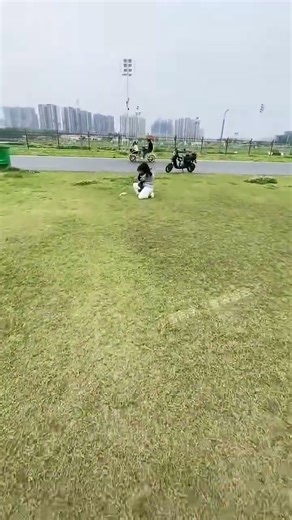 Flying Pet Mouse with Confusing Behavior—What Is It Doing? 😅 #SugarGlider #CutePets #FunnyAnimals