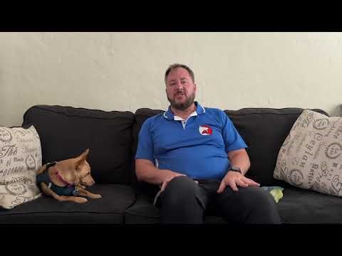 Dog Training Tips for Better Behavior: Watch Chiweenie Suzy’s Roadmap to Success!