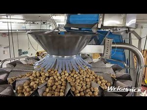 IQF Frozen Meatball Weigh Filling and Bagging Machine