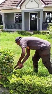 landscaping of our compound.#landscape#beautification.