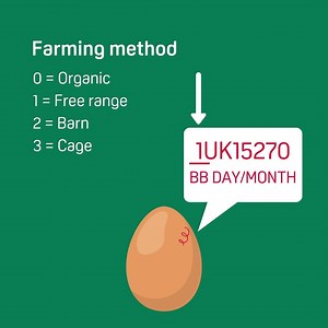 A very small proportion of eggs sold in England and Wales may contain #salmonella. The contaminated batch code is 1UK15270. These eggs may have been sold by Sainsburys, Asda or Aldi. For more info, including best before dates: https://www.food.gov.uk/news-alerts/news/fsa-issues-precautionary-safety-and-handling-advice-for-specific-eggs | Food Standards Agency