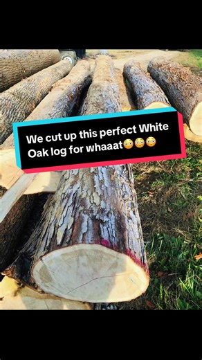 Take a guess at what this perfect white oak log got cut up into! I’ll start by saying I understand all things have a purpose. Its our job as sawyers to make sure the needs of customers are met- but it sure does pain me to see nearly perfect white oak logs cut up into trailer decking. These pictures are from a few years back- like everything else, I wish I would have taken videos of it then but we just wernt into it that much. Anyways- thanks for watchin and we’ll see yall in the next one. ##gues