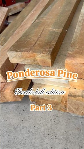 Making a Ponderosa Pine Table with tree facts #woodwoorking #treefacts #ponderosa #pine #diningtable