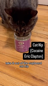 16K views · 266 reactions | Sometimes kitties just gotta cut loose y’know?  Shoutout @catcrackcatnip for sending us on this “trip” hehehe. I’ve linked the nip we’re munching on in this video at our website meowfecta dot com (also in bio!). Lmk how your kitty loves it  • Parody of Cocaine by Eric Clapton • #catmom #catlife #catmomlife #cutecat #catnip #catcrackcatnip #catcrack #giftedproduct #partner #catdad | Meowfecta | Facebook