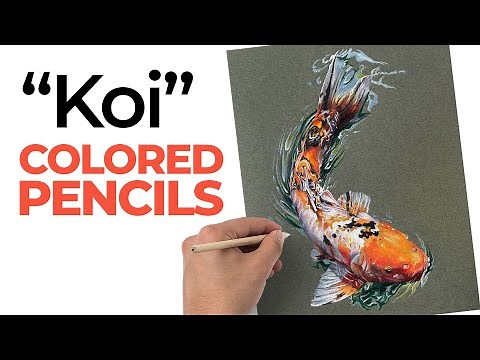 Koi Fish Drawing with Colored Pencils