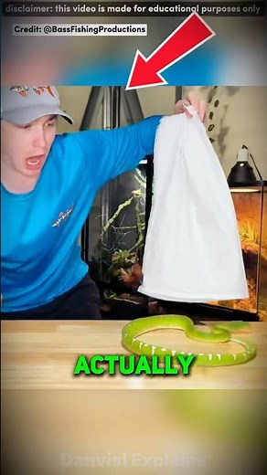 😱 Deadliest Pets from Dark Web #shorts #facts