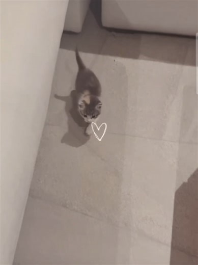 Actualización tierna de nuestros hijos en clips