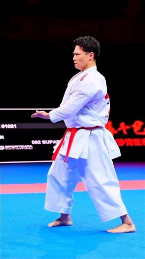 Double Suparinpei Version Shytoryu or Gojuryu