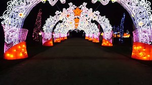 551K views · 1.3K shares | ✨ MAGICAL LANTERN FESTIVAL✨ For the...