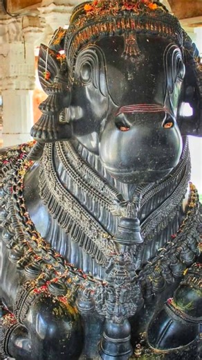 A 12th-century Nandi that still outshines modern stonework. This is not just art — this is devotion carved in stone. Jai Mahakal 🕉️ #HoysalaArchitecture #NandiMaharaj #IndianHeritage #AncientIndia #SanatanDharma #Historianhub @top fans | Historianhub