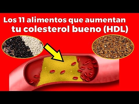 11 Foods to Increase Good Cholesterol (HDL)