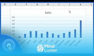 Mind Luster - Learn How to Make a Bar Graph in Excel