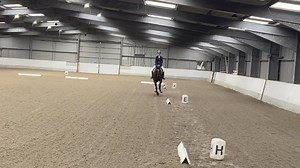 Dopey’s dressage Debut! I’m going to share the full unedited clip because it’s nice to see it with his green mistakes too which most people would edit out 🙈 I am SO BLOODY PROUD of this horse 🥹🥹🩷 First dressage competition ✔️ First time seeing whiteboards ✔️ Acting like he’s done this for years ✔️ How much potential does this horse have 😍😍😍 he was completely chilled at the dressage warm up arena with other horses, didn’t even look at the whiteboards, performed a beautiful first ever dress