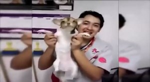 Pet store in Mexico closed after video surfaces of employees slapping dogs