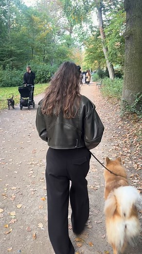 Reaktivitet er følelser, ikke dårlig opførsel❤️‍🩹 På gåture med mennesker, barnevogne og andre hunde kan nogle hunde reagere (gø, knurre, trække). Det skyldes typisk usikkerhed, frustration eller overvældelse🥺 Se efter tidlige tegn: fastere kropsholdning, låst blik, lukket mund, kortere vejrtrækning, øget tempo. Grib ind før udbruddet: 👉Skab afstand (gå i bue, byt side så du er mellem hund og trigger) 👉Beløn hvert frivilligt kig til dig eller roligt snus, det lærer hunden et alternativt valg