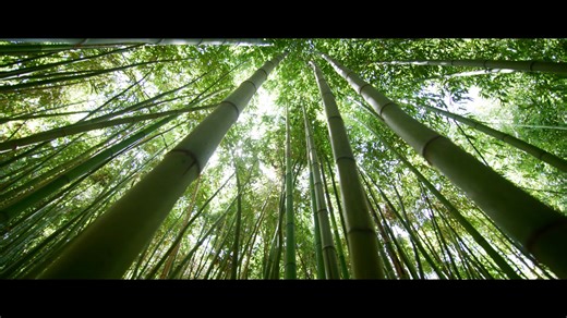 RBA_Mitos y Leyendas de Japón